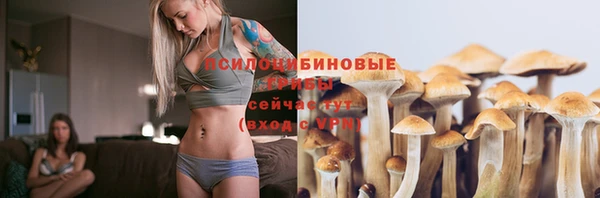 спиды Белоозёрский