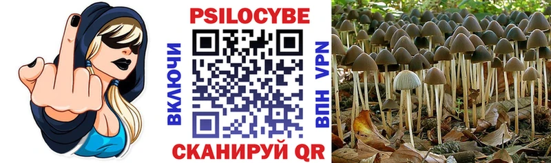 Псилоцибиновые грибы Cubensis  где найти   Армавир 